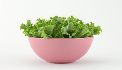Fototapeta premium A Tapestry of Flavors: A Coral Pink Salad Bowl Abundant with Crisp, Vibrant Greens, Isolated on a Pristine White Canvas