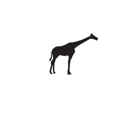 giraffe silhouette isolated on white