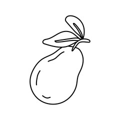 Doodle illustration of sweet juicy pear, duchess, in black and white, black line, isolated on white. Fruit.