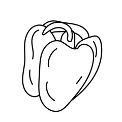 Doodle illustration of sweet bell pepper, paprika, in black and white, black line, isolated on white. Vegetable.