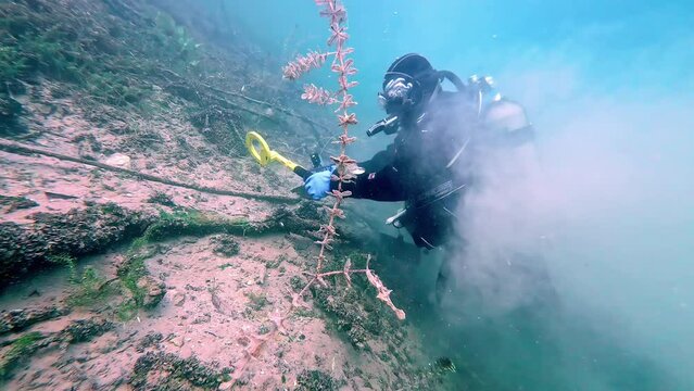 Using a metal detector in Attersee Lake searching for lost or sunken items