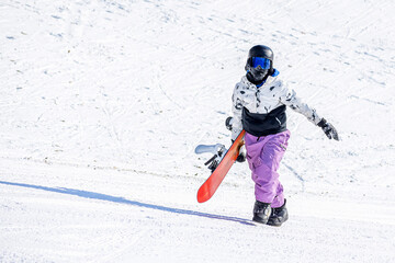 A young people is carrying snowboards in hands is walking along the ski slope in a sunny day