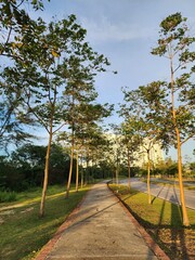 Relaxing calm walk with nice weather