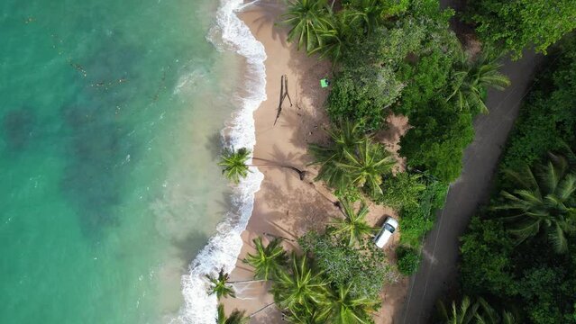 Drone view of a beautiful beach with curved palm trees. Pura Vida!