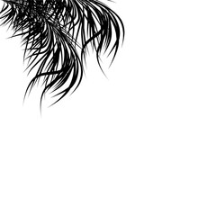 coconut leaf silhouette