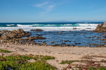 Fototapeta na wymiar Monterey California shoreline landscape and birds.