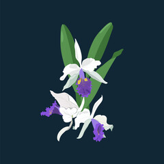 Vector illustration of orchid on isolated background.