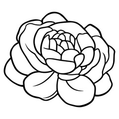 Hand drawn simple flower illustration