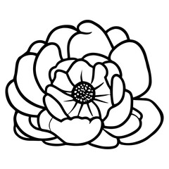 Hand drawn simple flower illustration