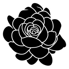 Hand drawn simple flower illustration