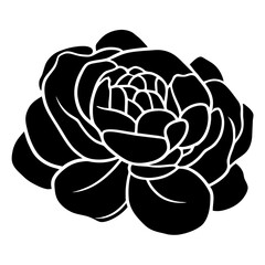 Hand drawn simple flower illustration