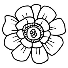 Hand drawn simple flower illustration