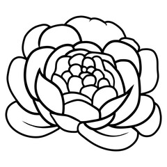 Hand drawn simple flower illustration