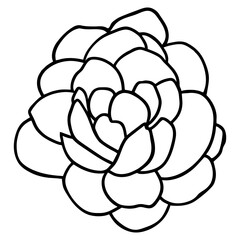 Hand drawn simple flower illustration
