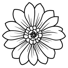 Hand drawn simple flower illustration