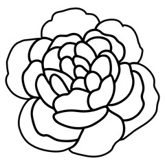 Hand drawn simple flower illustration