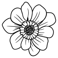 Hand drawn simple flower illustration