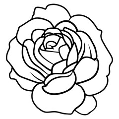 Hand drawn simple flower illustration