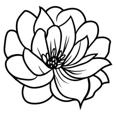 Hand drawn simple flower illustration