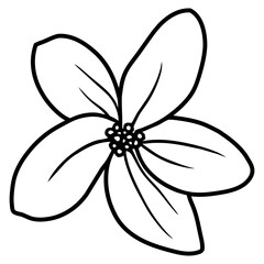 Hand drawn simple flower illustration