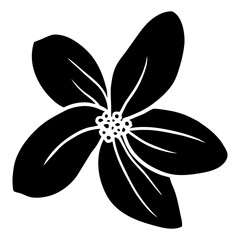Hand drawn simple flower illustration