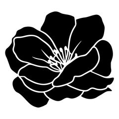 Hand drawn simple flower illustration