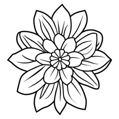 Fototapeta premium Hand drawn simple flower illustration