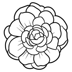 Hand drawn simple flower illustration