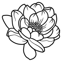 Hand drawn simple flower illustration