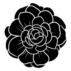 Hand drawn simple flower illustration