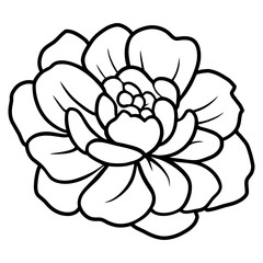 Hand drawn simple flower illustration