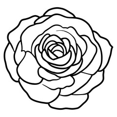 Hand drawn simple flower illustration