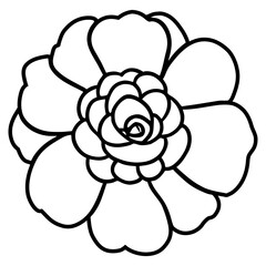 Hand drawn simple flower illustration
