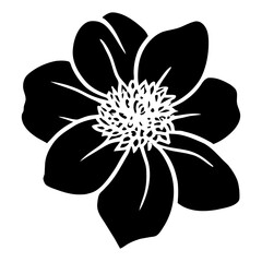 Hand drawn simple flower illustration