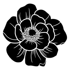 Hand drawn simple flower illustration
