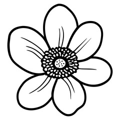 Hand drawn simple flower illustration