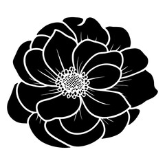Hand drawn simple flower illustration