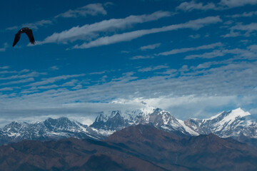 Annapurna South snow mountain in Nepal, bird flying at the front view - 712027385