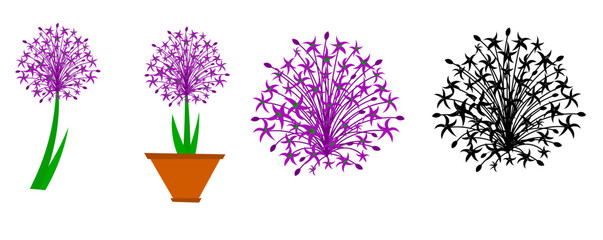 Allium flower set. drawing beauty fresh allium globemaster for home art wall decor poster print. Decorative giant onion flower concept for greeting card. Single line draw design vector illustration