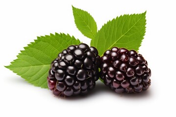 blackberries isolated on a white background. a bunch of black berries with leaves. - obrazy, fototapety, plakaty