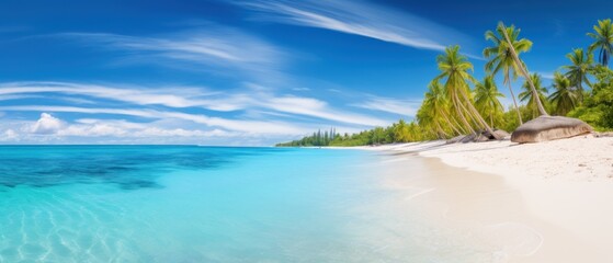 Beautiful sand and coco palms tropical beach wide panorama background - obrazy, fototapety, plakaty