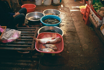 A fishmonger selling and waiting for costumers at the local Samaki Market in Kampot Cambodia...