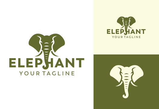 elephant logo design vector illustration