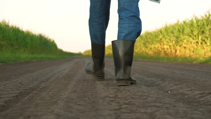senior farmer walking along corn field rubber boots, farmer walking across field rubber boots,...