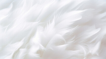 A tranquil close-up of pure white feathers illuminated by soft light, conveying a sense of calm and softness. - obrazy, fototapety, plakaty