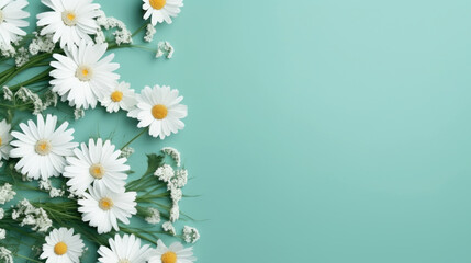 White daisies with a turquoise background, providing a refreshing springtime vibe and space for text or design elements.