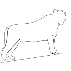 Continuous one-line drawing. Tiger jumping. Vector illustrations