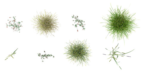 Realistic blades of green grasses set with flower clover,Rhanterium epapposum,Fountain Grass isolated on white background vector illustration from top view