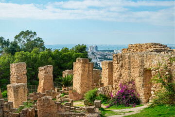 Vue sur Tunis depuis le site archéologique de Carthage