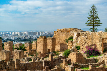 Fototapeta na wymiar Vue sur Tunis depuis le site archéologique de Carthage